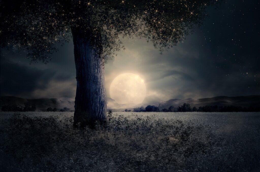 A bright, almost full moon illuminates a field with a tree in the foreground—the Best Planting by the Moon.